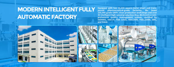 ποιότητας Ελαφρύ και θρεπτικό κινέζικο επιδόρπιο εργοστάσιο