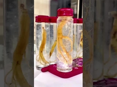 Πιέσματα από την άμεση φωλιά των πουλιών